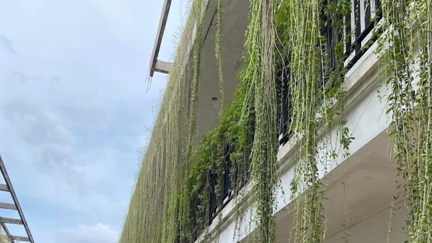Un edificio con piante pensili e un cortile in mattoni.