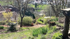 A garden with a variety of plants and trees, a brick building, and a view of a residential area in the background.
