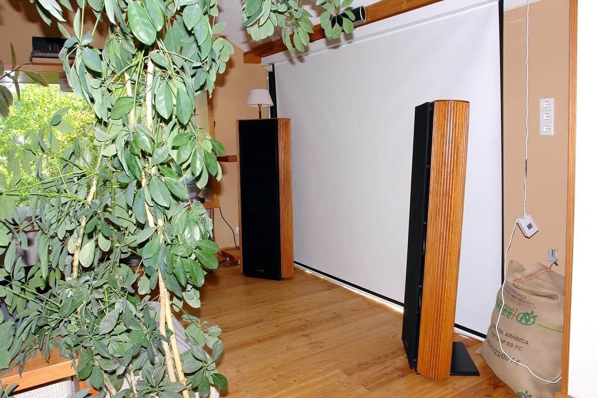 Una habitación con suelo de madera, una planta grande, un altavoz negro y una pizarra.