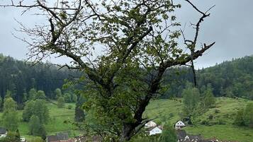 A tree in a grassy area with a village in the background.