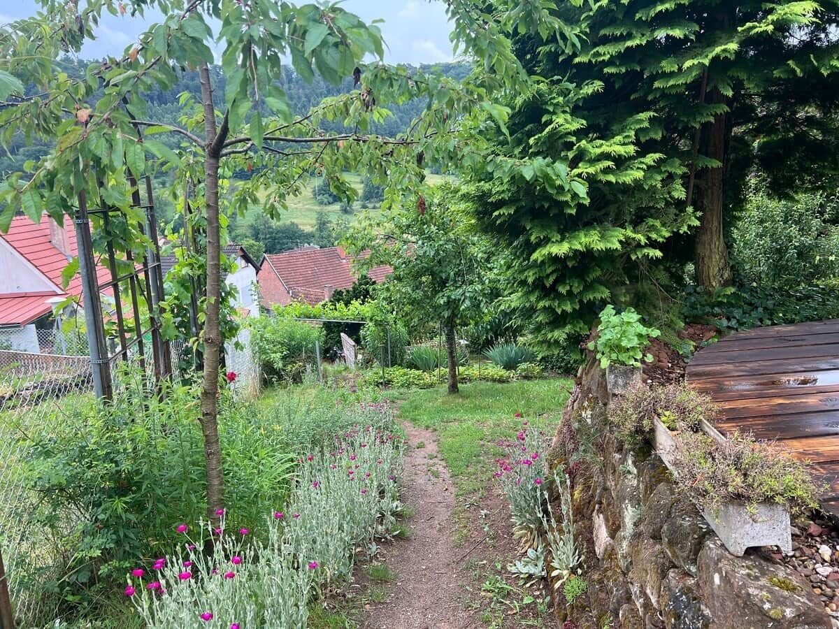Área da propriedade
