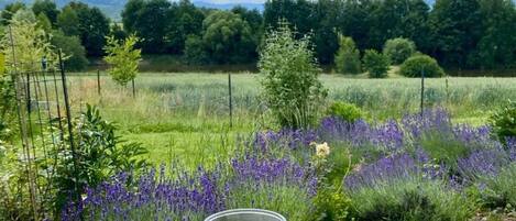 Hus - 2 sovrum | Restaurang utomhus