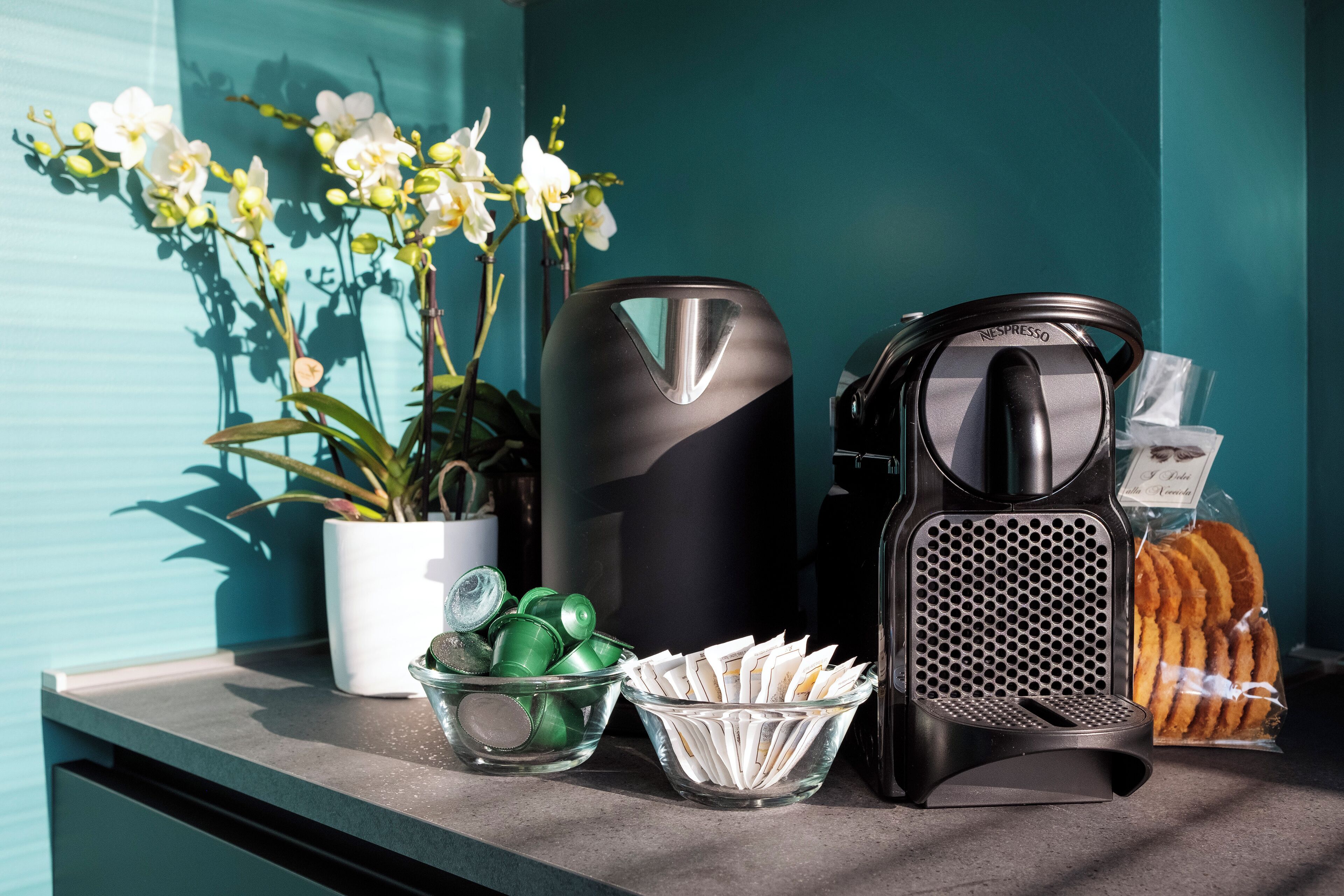 Une machine à café, un saladier en verre contenant des aliments verts, un saladier en verre contenant des aliments blancs et une plante en pot avec des fleurs blanches, le tout posé sur un comptoir.