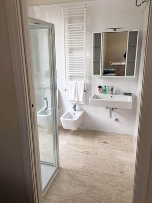 Shower, hair dryer, bidet, towels
