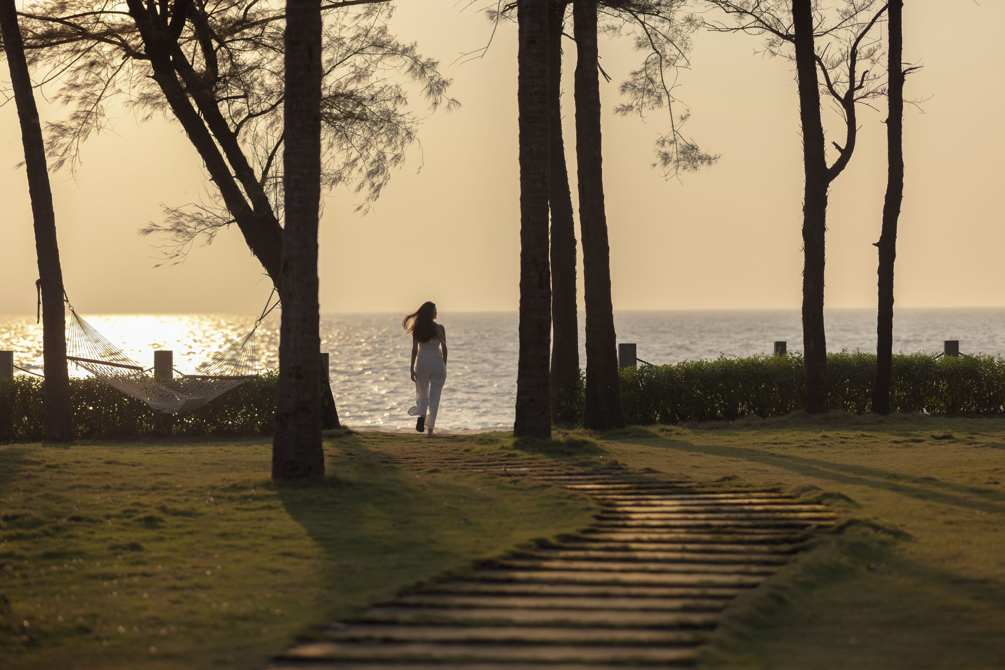 A pathway leading to a beach with a hammock and trees.