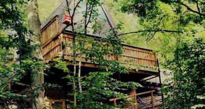 A chalet on a hill in the forest, with a beautiful view of the Ardennes.