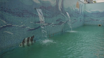 Hồ bơi ngoài trời