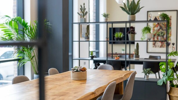 A modern dining area with a wooden table, grey chairs, and a metal shelving unit with various plants. - Student Only Zinc Quarter (Bristol)