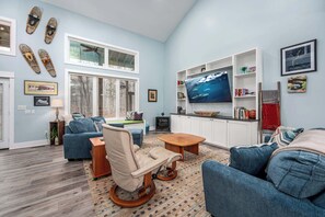 Télévision, cheminée, espaces bureaux