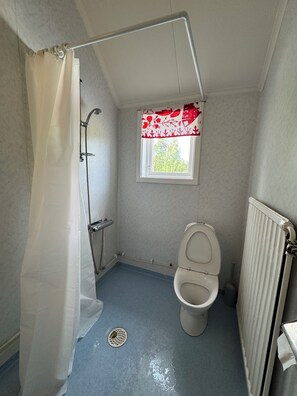 Shower, towels, toilet paper