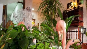 Ein tropisch gestalteter Innenbereich mit einem Garten, der verschiedene Pflanzen, darunter große Blätter und eine Flamingostatue, beherbergt.