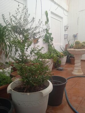 A potted plant in a white pot, a black pot, and a white pot with a plant on a tiled patio. - HOTEL LAS SALINAS  CABO DE GATA (Almeria)