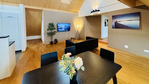 A modern interior with a dining area, a TV, a potted plant, and a painting on the wall. - TONIGHT Apartments (Bottmingen)