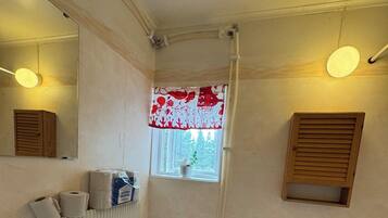 Shower, towels, toilet paper