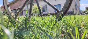 Room rental Bienvenue chez Mémé chambre de Georges