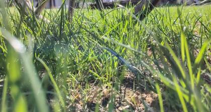 Room rental Bienvenue chez Mémé chambre de Georges