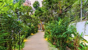 Un sentier bordé d’une végétation luxuriante, qui mène à un bâtiment doté de portes en verre.