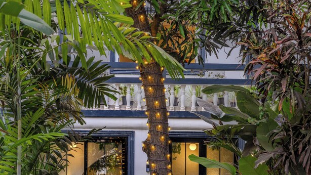 Un chemin menant à un bâtiment doté d’une entrée en verre, entouré d’une végétation luxuriante et illuminé de guirlandes décoratives.