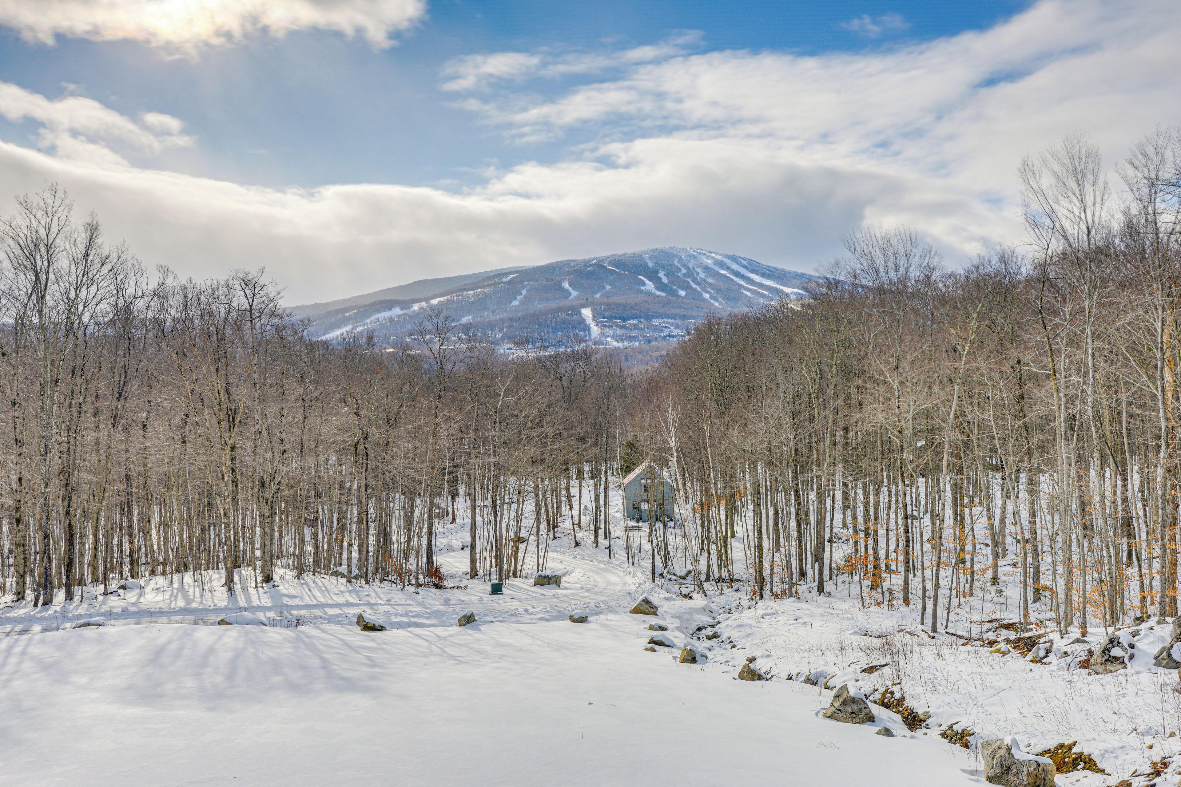 Un paisaje nevado con una montaña al fondo y un sendero que atraviesa un bosque.