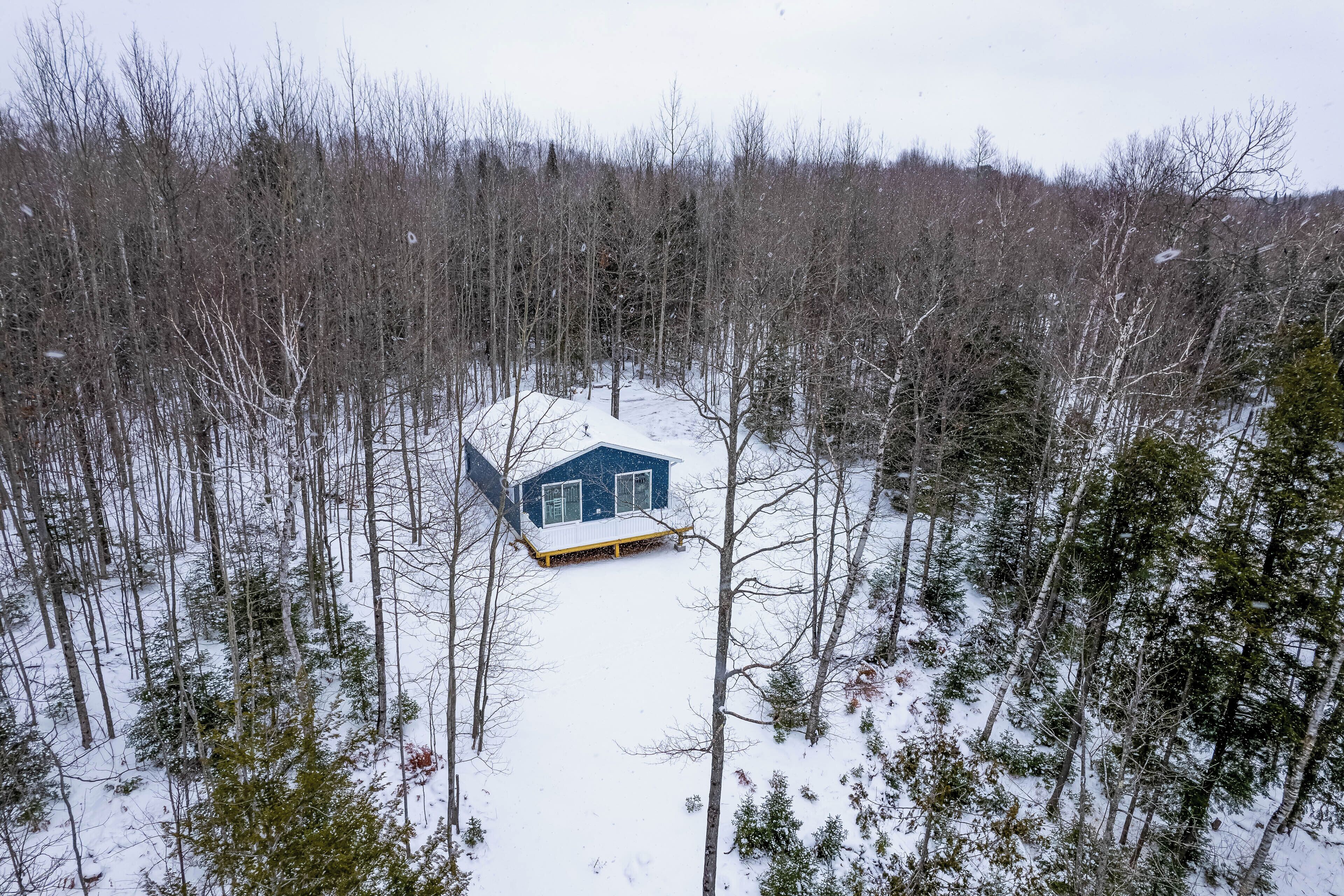 Une cabane entourée d’une forêt, et la neige recouvre le sol.