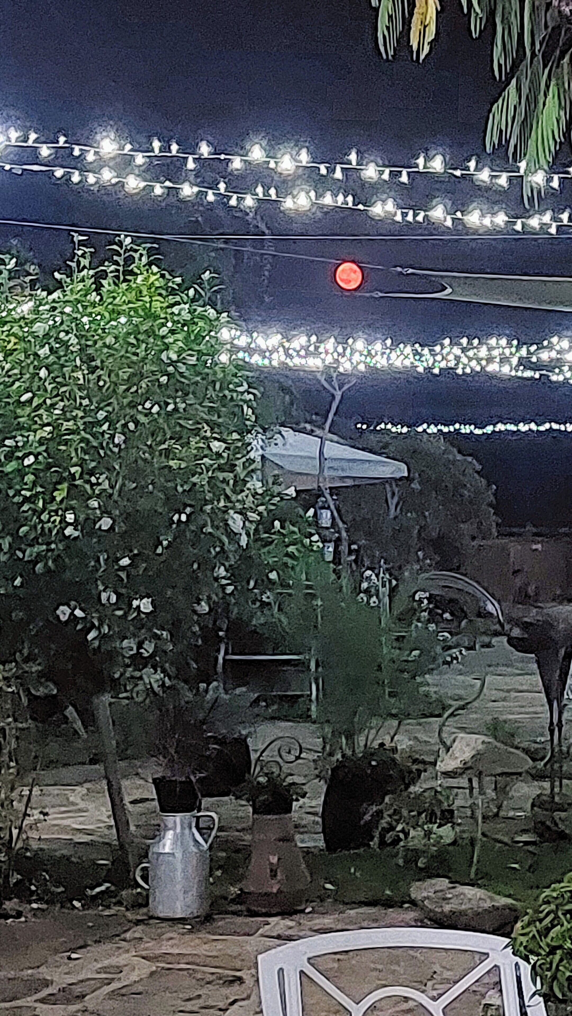 A patio area with string lights, a metal pitcher, and potted plants.