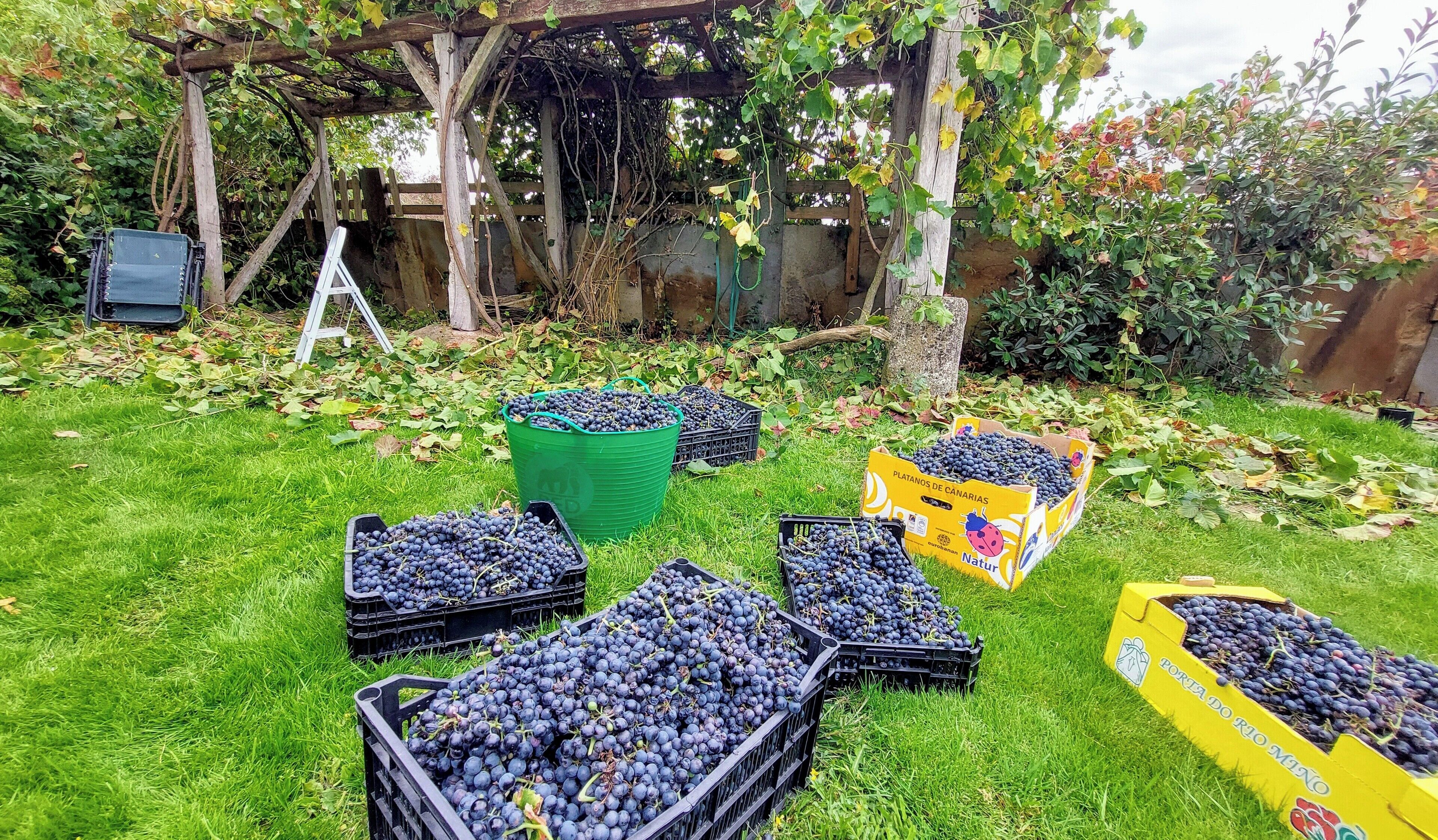 Photo - O Forno de Catuxa Cottage & Roman Wall