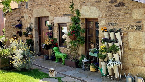 Un edificio de piedra con fachada rústica, una estatua de perro verde y diversas macetas con plantas y flores.