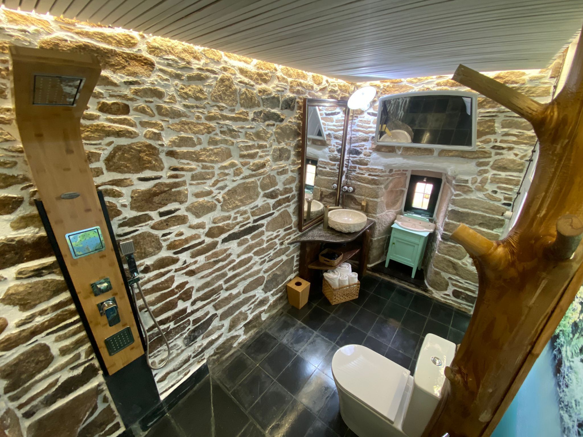 A stone-walled bathroom with a wooden door, a sink, a toilet, and a mirror.