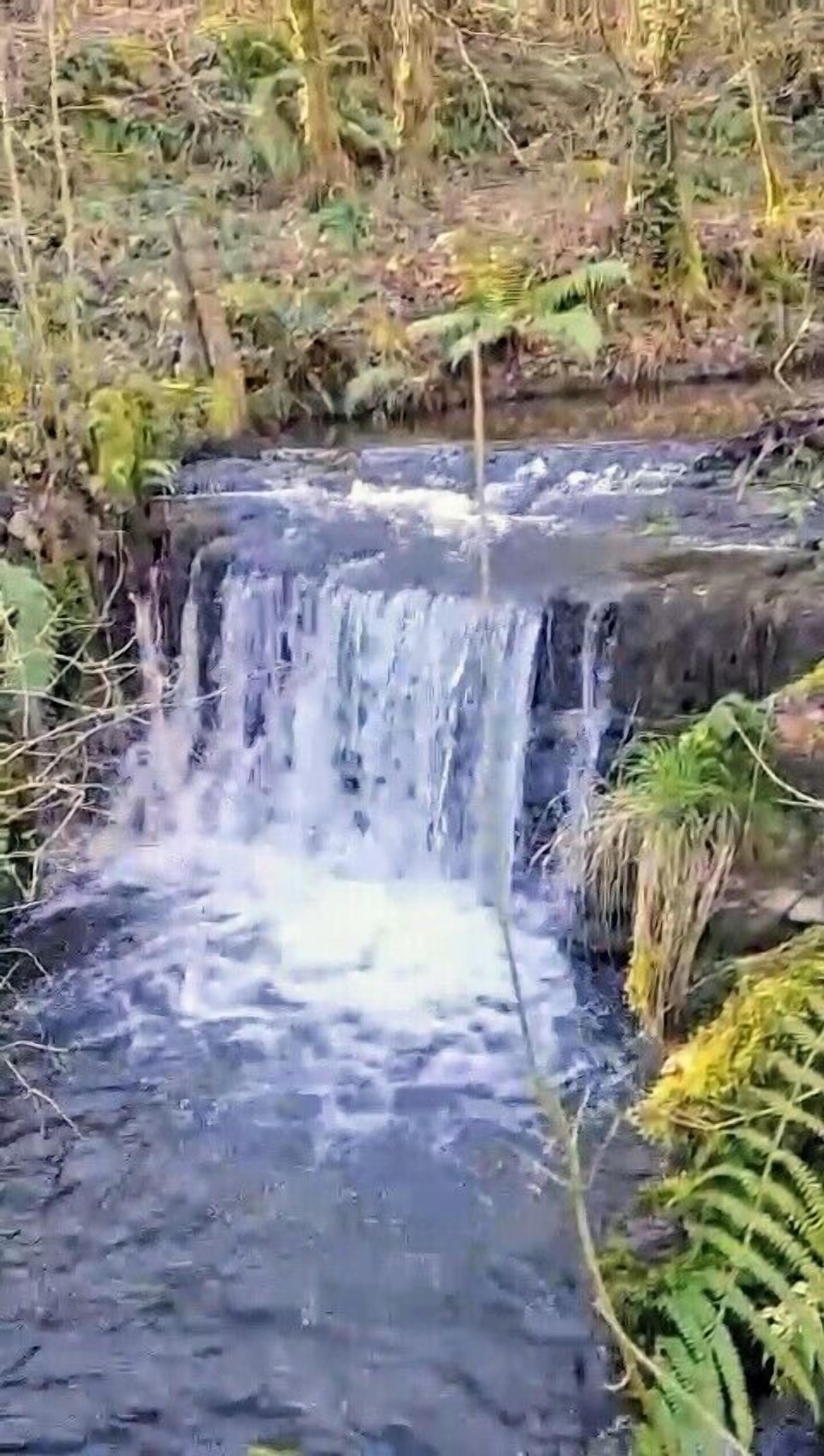 Photo - O Forno de Catuxa Cottage & Roman Wall