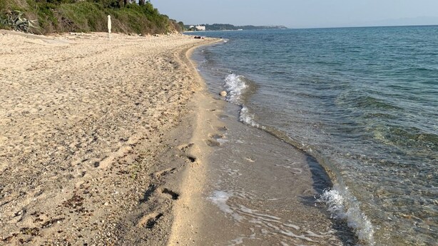 Ranta