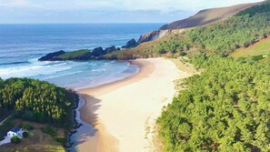 A coastal landscape with a sandy beach, dense green forest, and rocky cliffs. - The Cliffs - Galician Blue Views (Ortigueira)