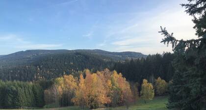 FH in der Wander- und Bikeregion Westerzgebirge, 700 m üNN, Südhang, Talblick