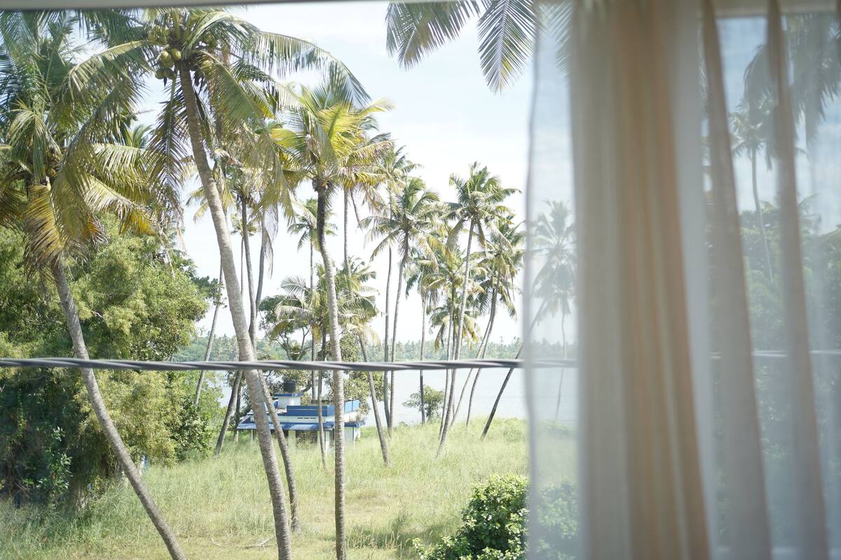 Blick durch ein Fenster mit Vorhängen, zeigt Palmen und ein Fahrzeug im Hintergrund.