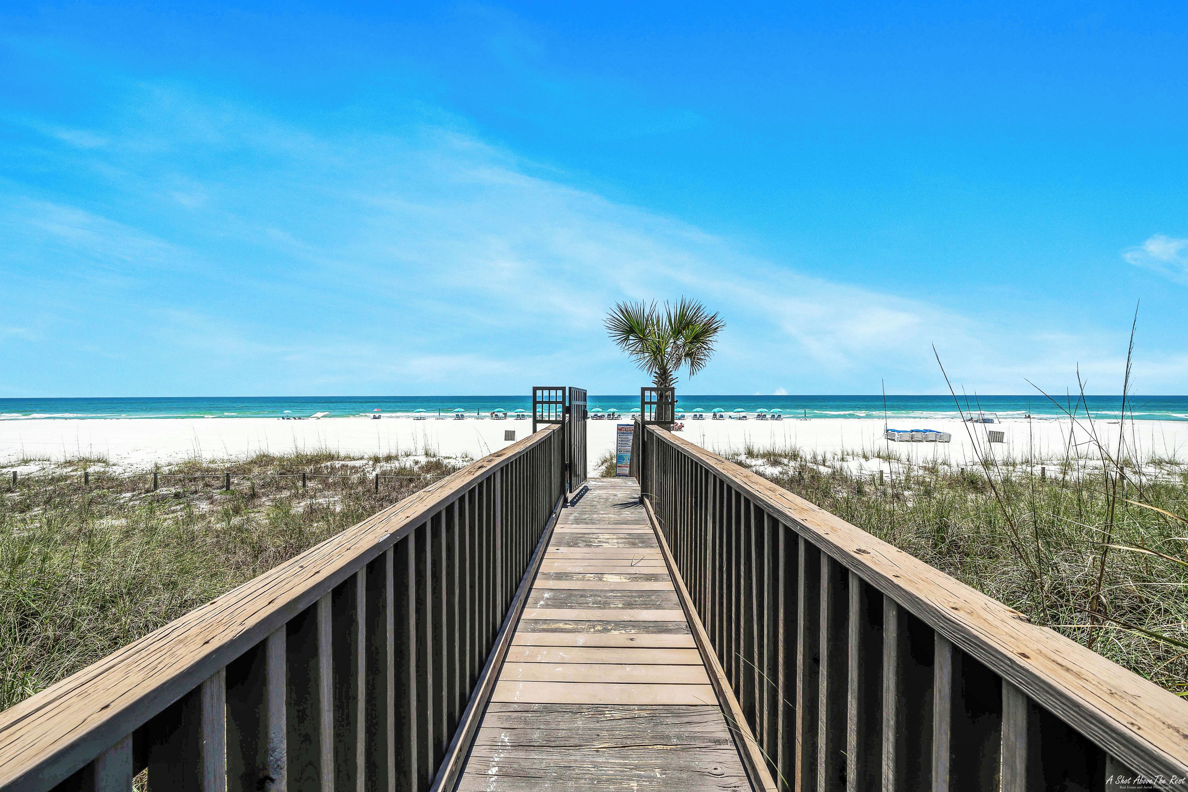 A wooden boardwalk leading to a beach with a palm tree in the center.