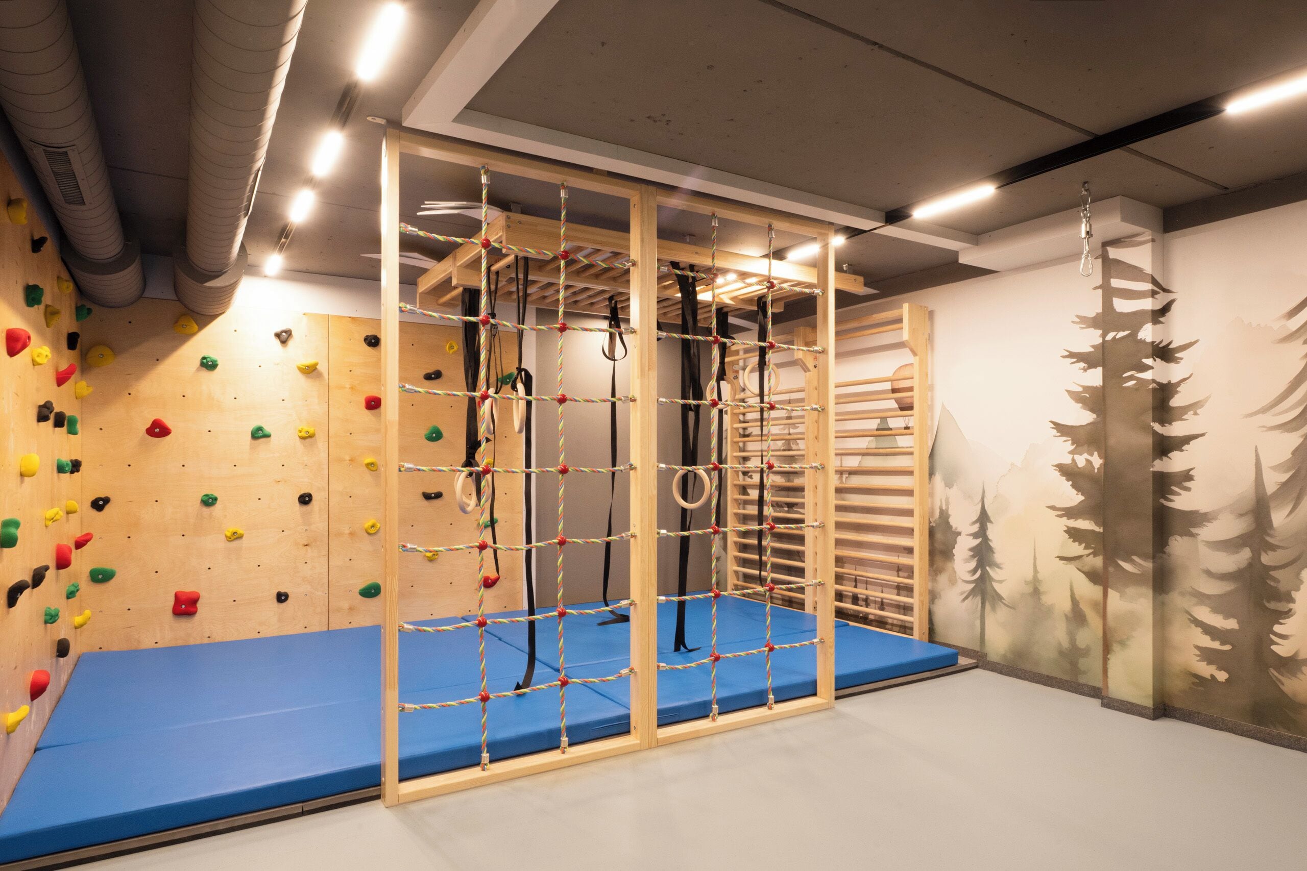 A climbing gym with wooden walls, colorful climbing holds, and a blue padded floor.