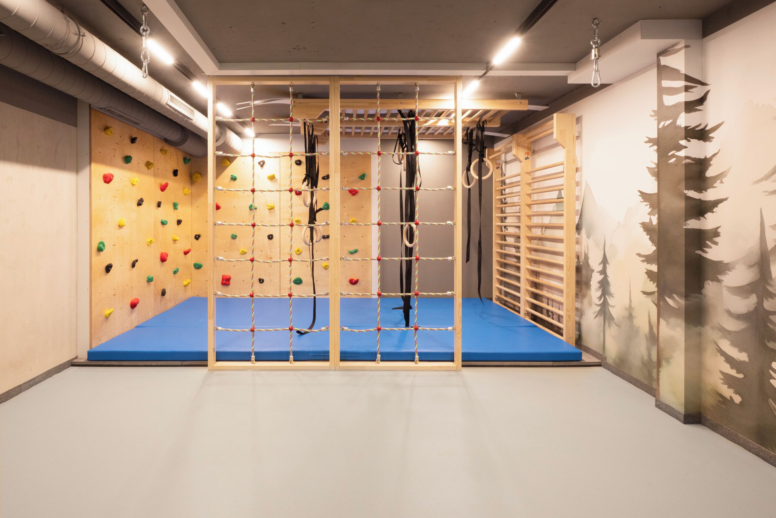A climbing gym with wooden walls, colorful holds, and a blue padded floor.