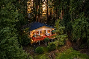 Uma cabana rodeada por uma floresta densa, com varanda e área de estar ao ar livre.