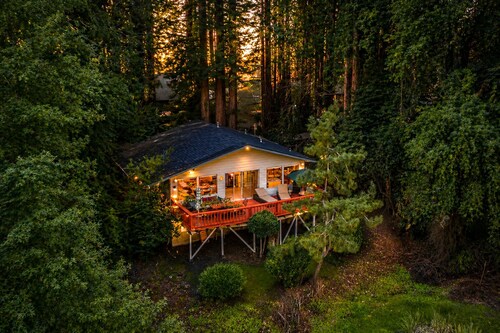 River View Near Guerneville|Cabin in the Redwoods! Golf, PLAYCATION! Aunt G's