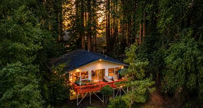 River View Near Guerneville|Cabin in the Redwoods! Golf, PLAYCATION! Aunt G's