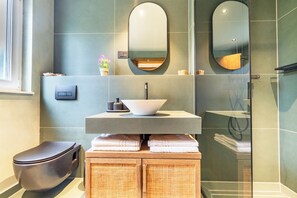 Shower, hair dryer, towels