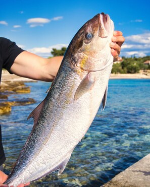 Miscellaneous - Moya Boutique Sleep - Garden Haven Room 2 (Drvenik Mali)