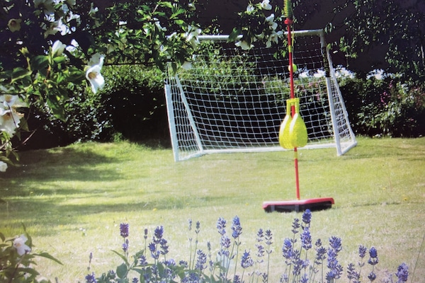 Sunny garden with football goal and swing ball.
