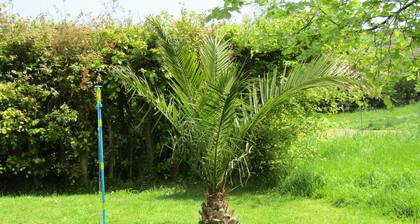 DISCOUNT FOR 2 PEOPLE,TRANQUIL COTTAGE NR PERRANPORTH,PET WELCOME,GARDEN,PARKING