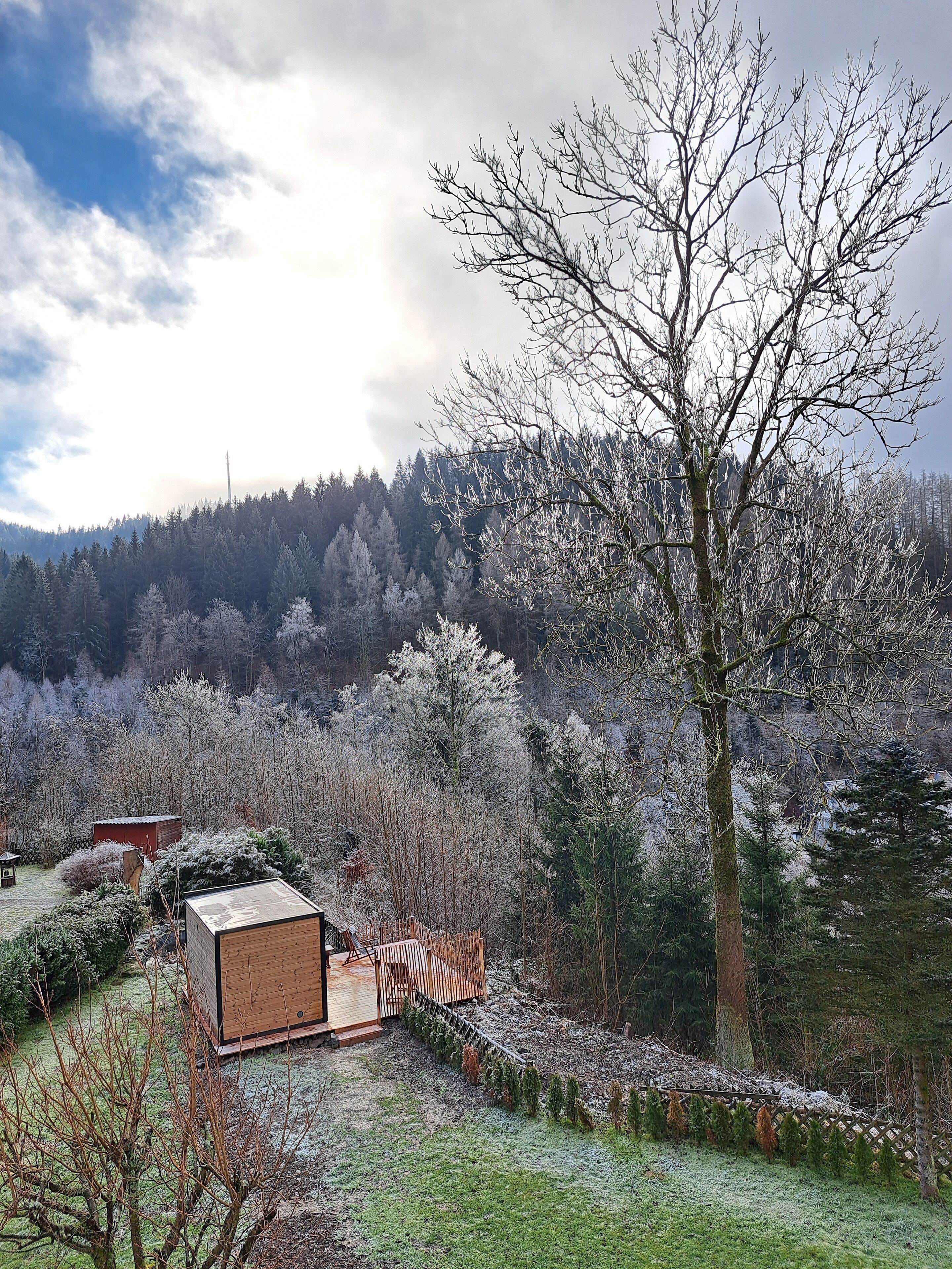 Un chalet rustique doté d’une terrasse en bois, entouré d’un paysage boisé et avec une montagne en toile de fond.