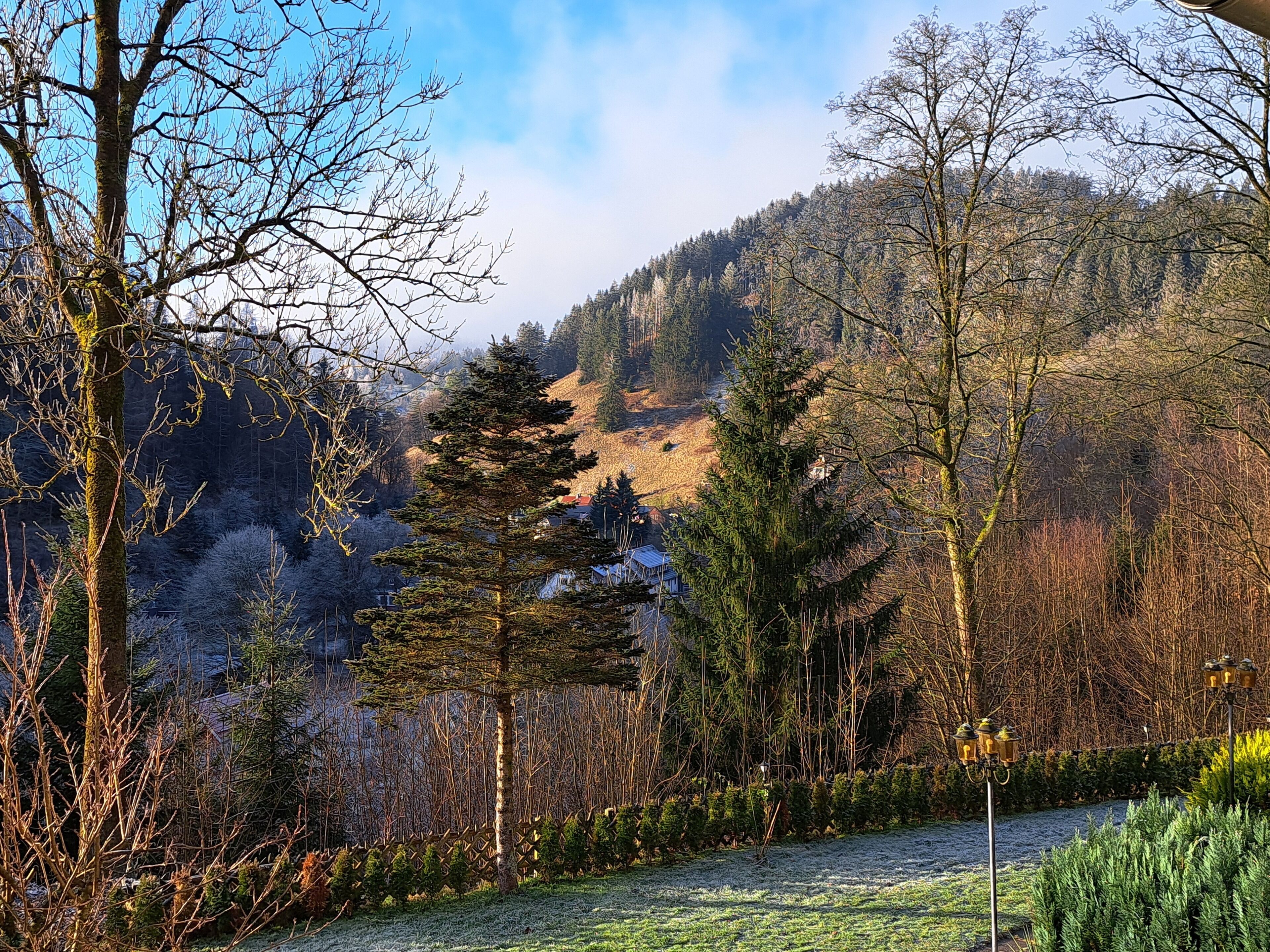 A forested landscape with a clear sky, a river, and a distant hill.