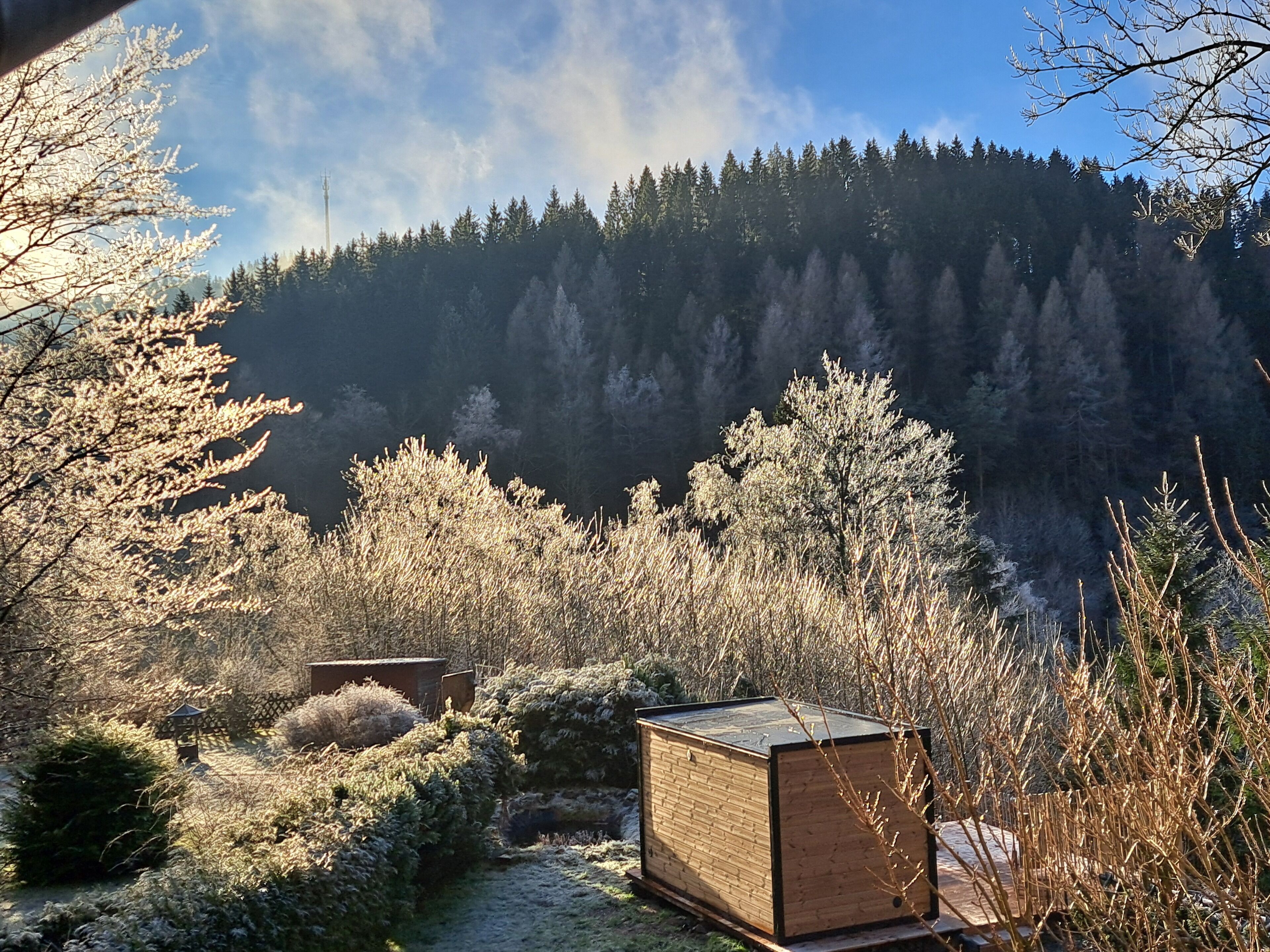 Una cabaña de madera en una zona boscosa con vistas a una montaña.