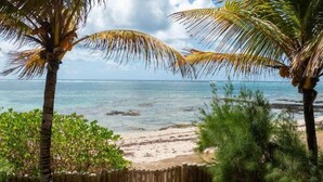 Une plage bordée de palmiers, une clôture en bois et l’océan.