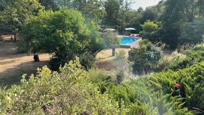 A pool surrounded by lush greenery and trees, with a clear sky above.