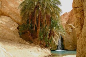 A palm tree in a rocky canyon with a waterfall. - Villa Atlas Osis (As-Sabikah)