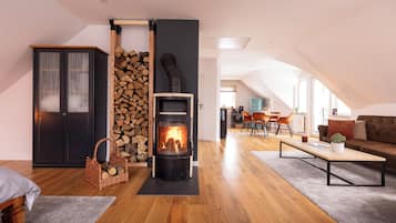 Smart TV, fireplace, books